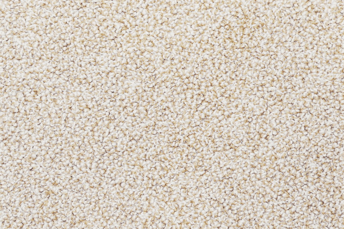 Weatherford Flooring Plush Carpet Image