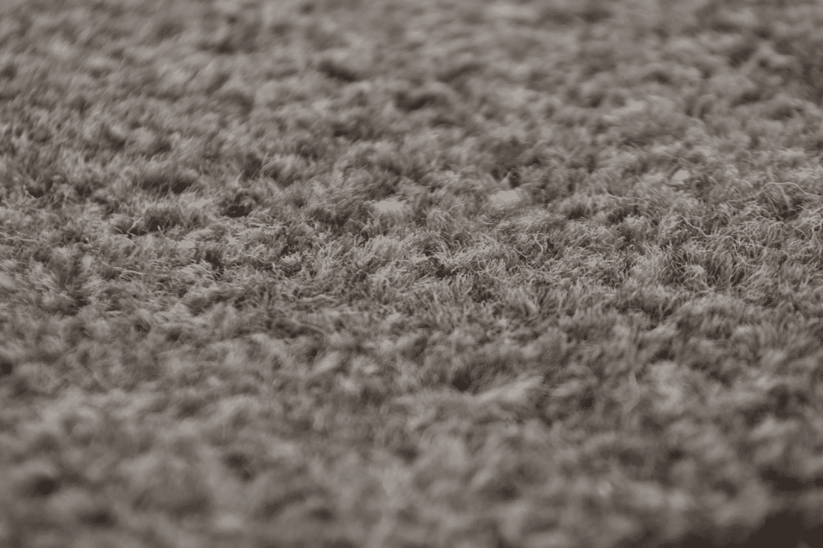 Weatherford Flooring Twist Carpet Image